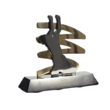 Customized Awards-14 - Novelty