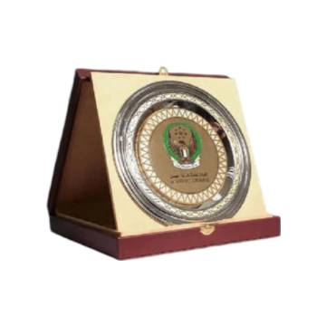 Customized Awards-23 - Novelty