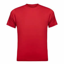 Crew Neck T Shirt - Novelty