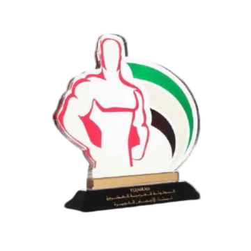 Customized Awards-3 - Novelty