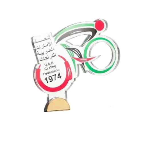 Customized Awards-5 - Novelty
