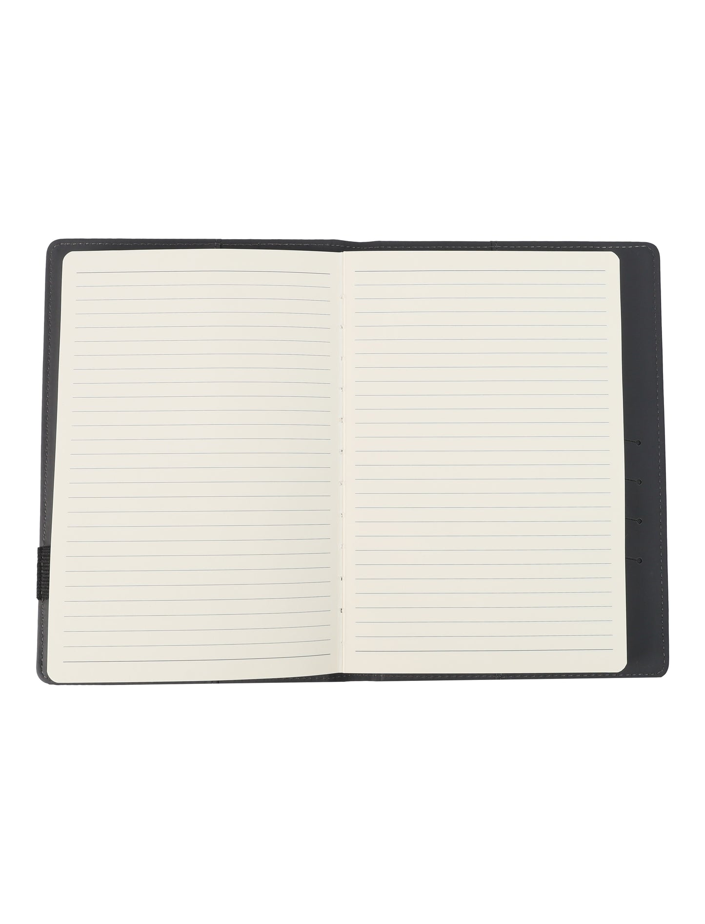 Notebook Organizer - Novelty