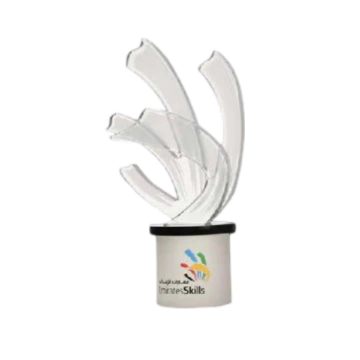 Customized Awards-10 - Novelty