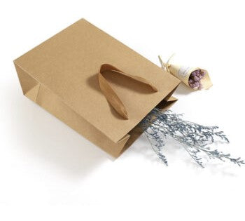 Horizontal Size Kraft Paper Bags - Novelty