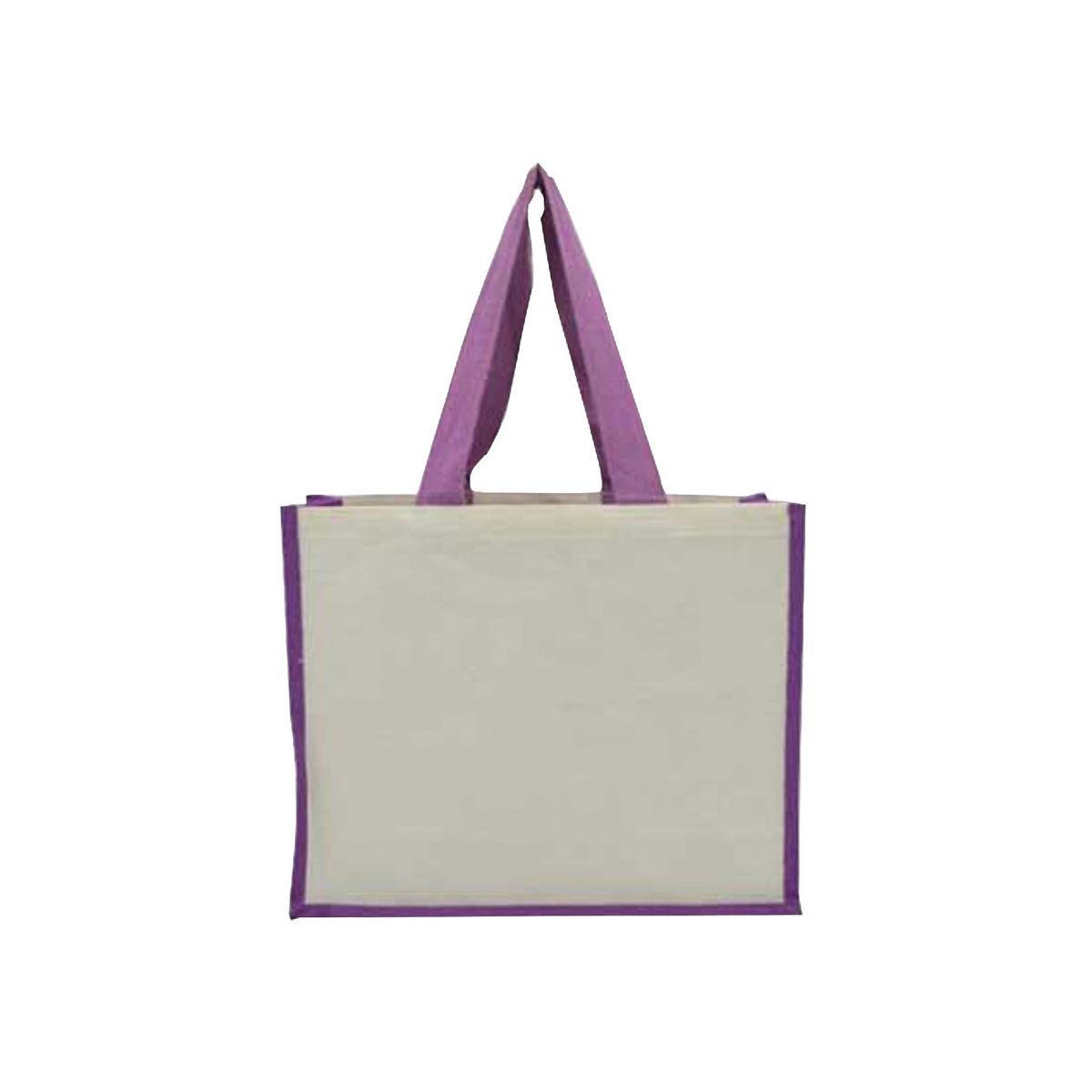 Canvas Jute Laminated Bag - Novelty
