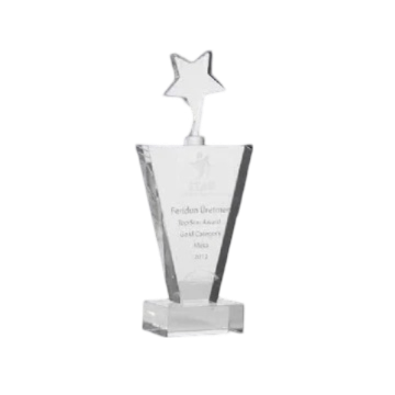 Customized Awards-12 - Novelty