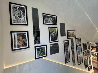 Wall Arts - Novelty