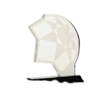 Customized Awards-24 - Novelty