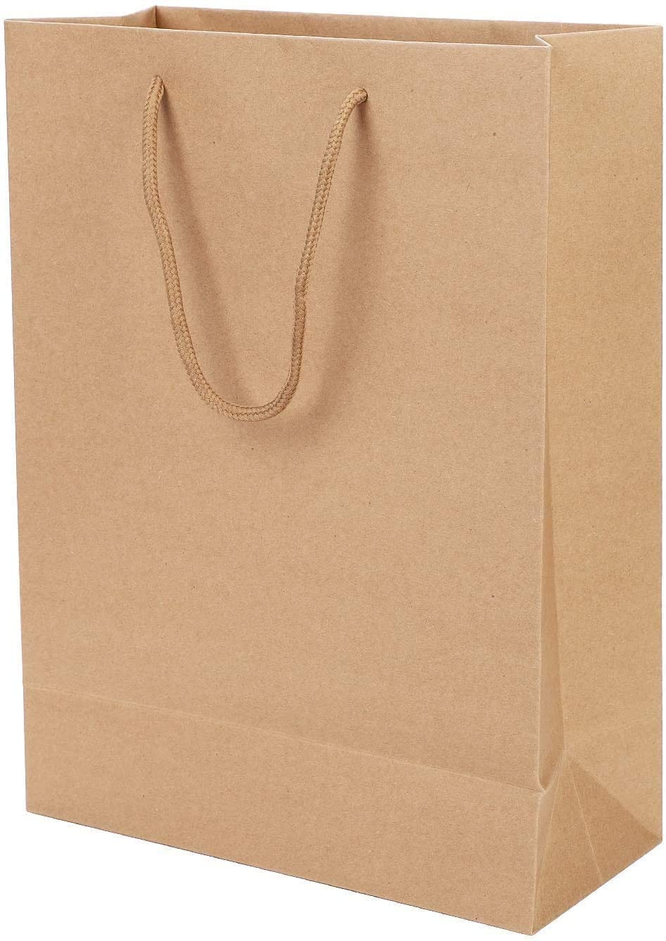 REDDOTGIFT® Kraft Shopping Paper Bags - Novelty