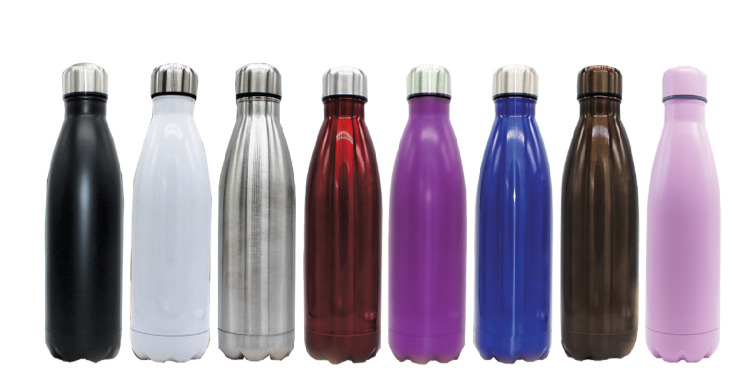 Double Wall Stainless Bottle - Novelty