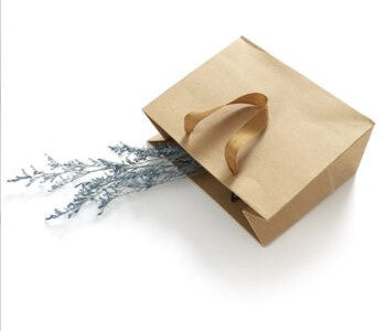 Horizontal Size Kraft Paper Bags - Novelty
